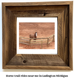 horse trail rides near me in Ludington, Michigan